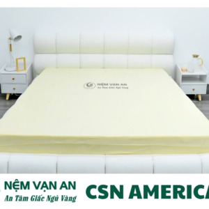 Nệm tổng hợp CSN American