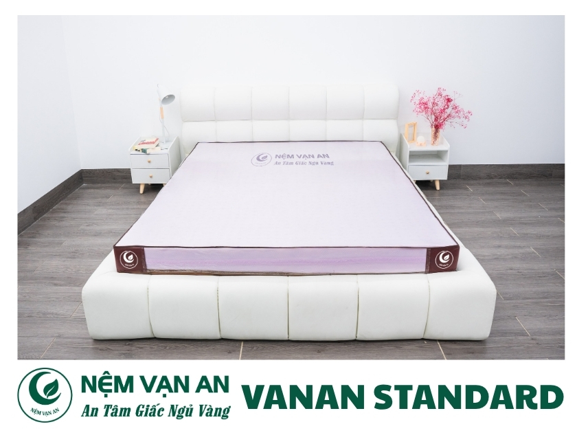 Nệm Vanan Standard