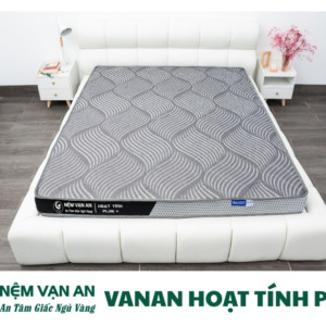 Nệm Vanan hoạt tính plus