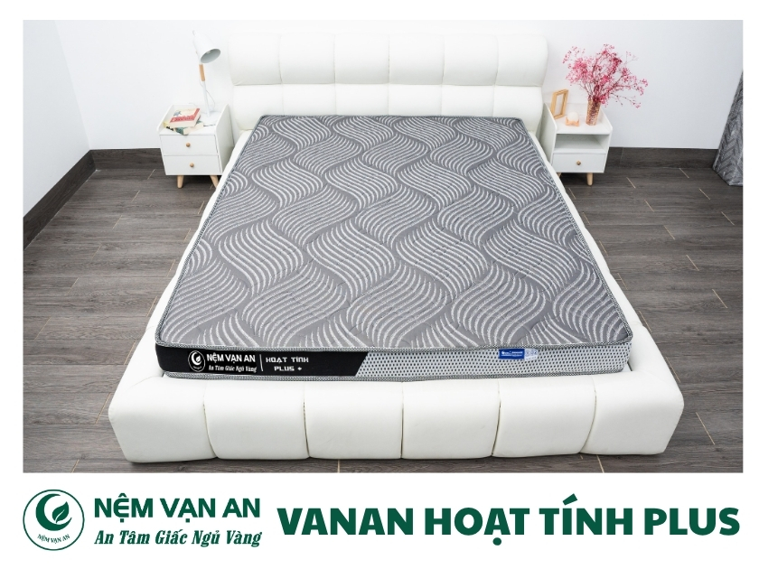 Nệm Vanan hoạt tính plus